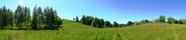 Land for sale for residential construction. Podhortsy, Krenychy. 
