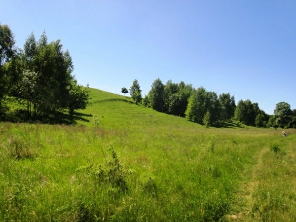 Land for sale for residential construction. Podhortsy, Krenychy. 