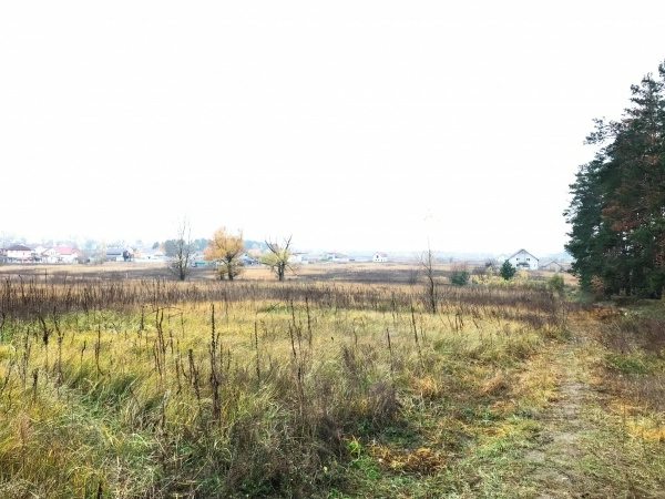 Land for sale for residential construction. Urochyshche Bukaevytsa, Starye Petrovtsy. 