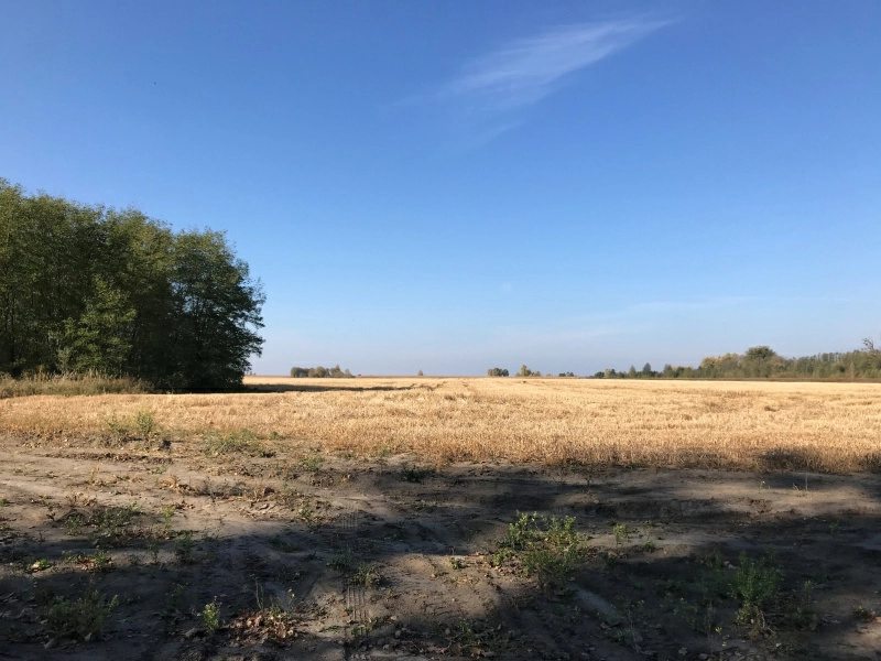 Agricultural land for sale. Motyzhyn, Makarov. 