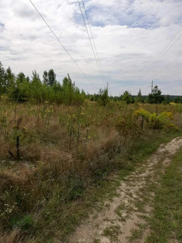 Land for industrial use for sale. Makarov. 