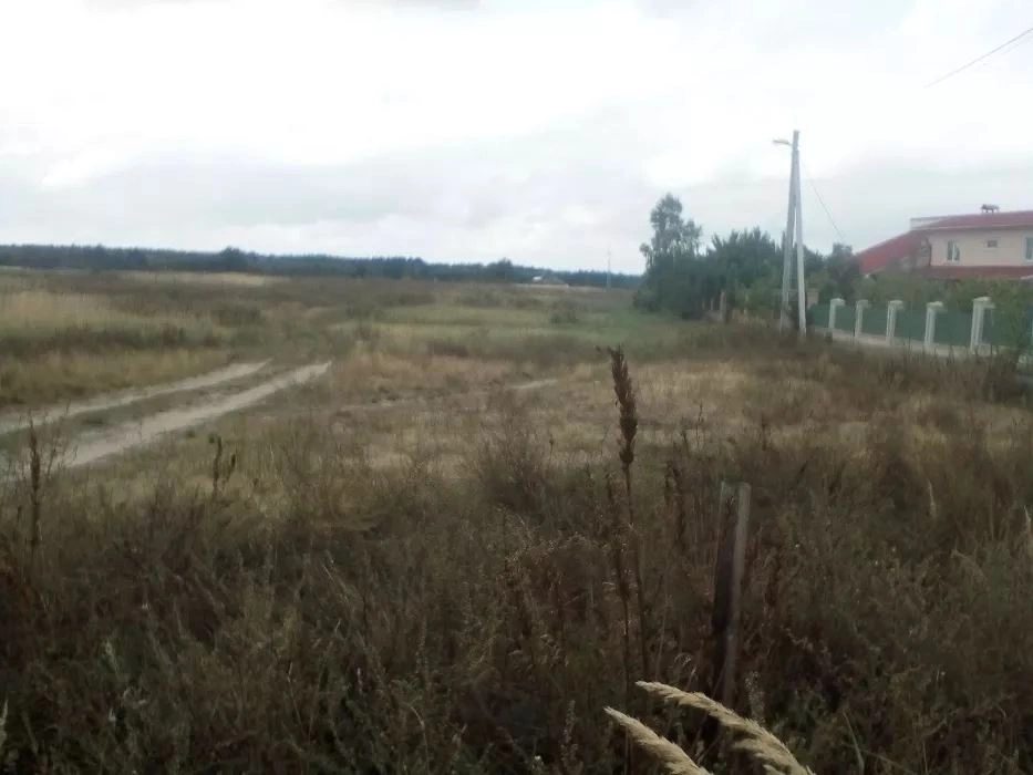 Land for sale for residential construction. Nyzhcha Dubechnya. 