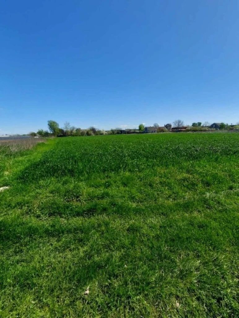 Land for sale for residential construction. Zazymya. 
