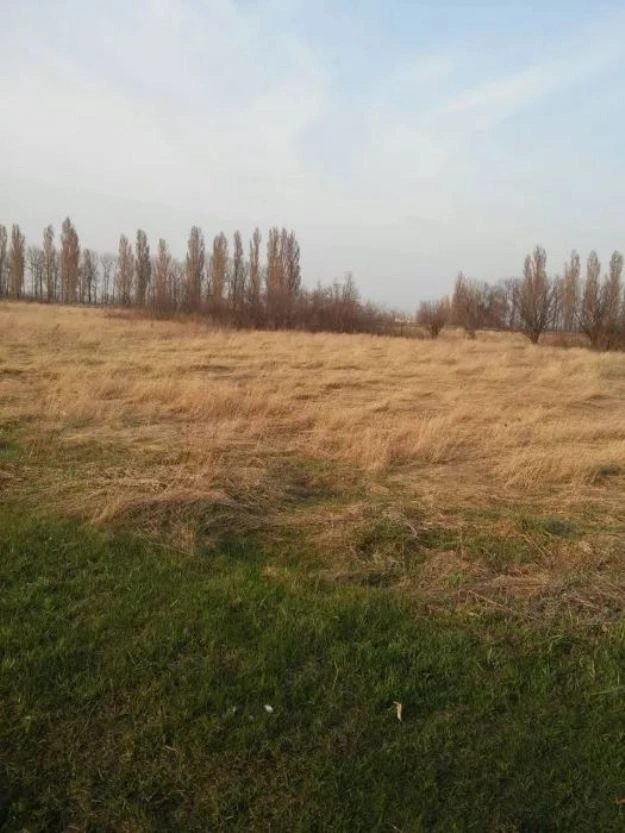 Land for sale for residential construction. Rohan. 