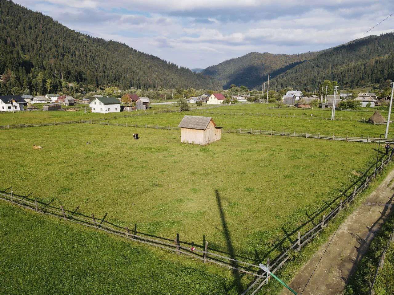 Land for sale for residential construction. Verkhovyna. 