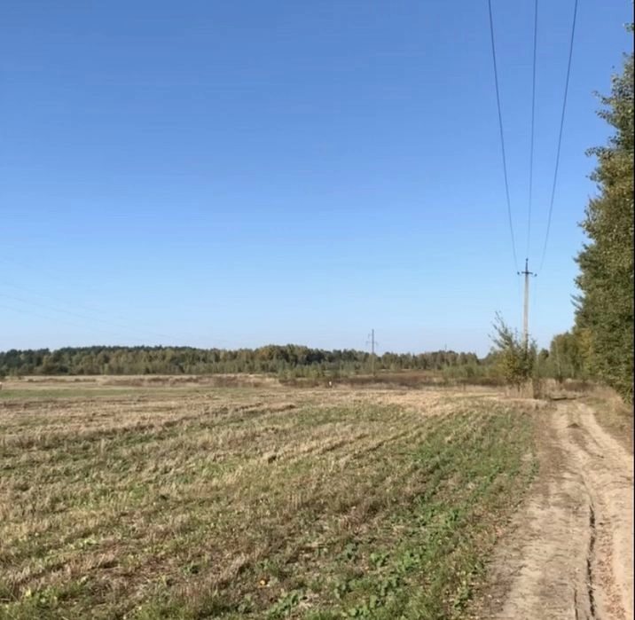 Agricultural land for sale. Tsentralnaya, Rivne. 