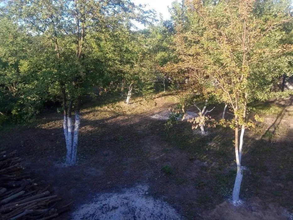 Land plot for sale 6 hundred Knyazhichi Zabirye