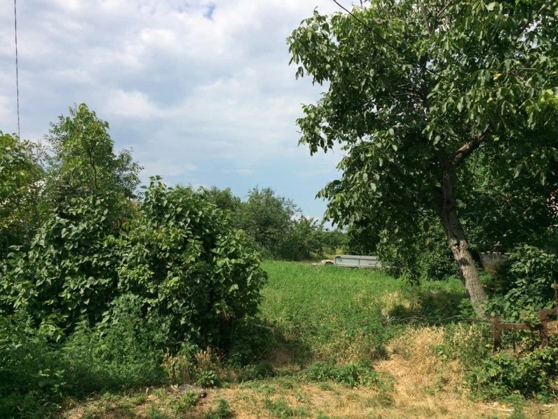 Land for sale. Chapaevka. 