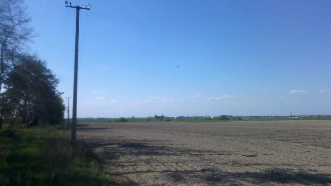 Agricultural land for sale for private use. Shpytky. 