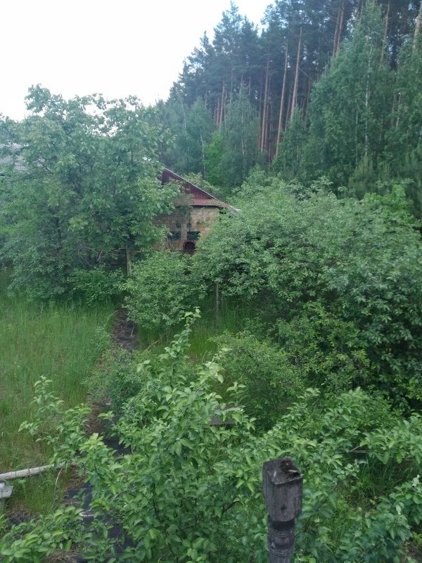 Land for sale. Sadovoe tovaryshchestvo, Vyshhorod. 