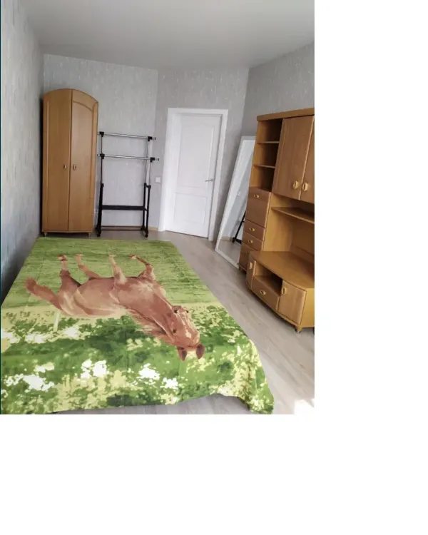 Apartment for rent. 1 room, 40 m², 22 floor/27 floors. 40, Petropavlivska 40, Kyiv. 
