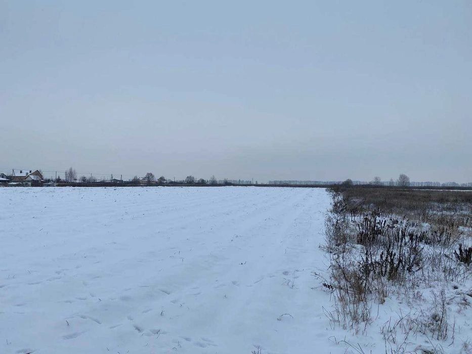 Land for sale for residential construction. Krasylivka, Brovary. 