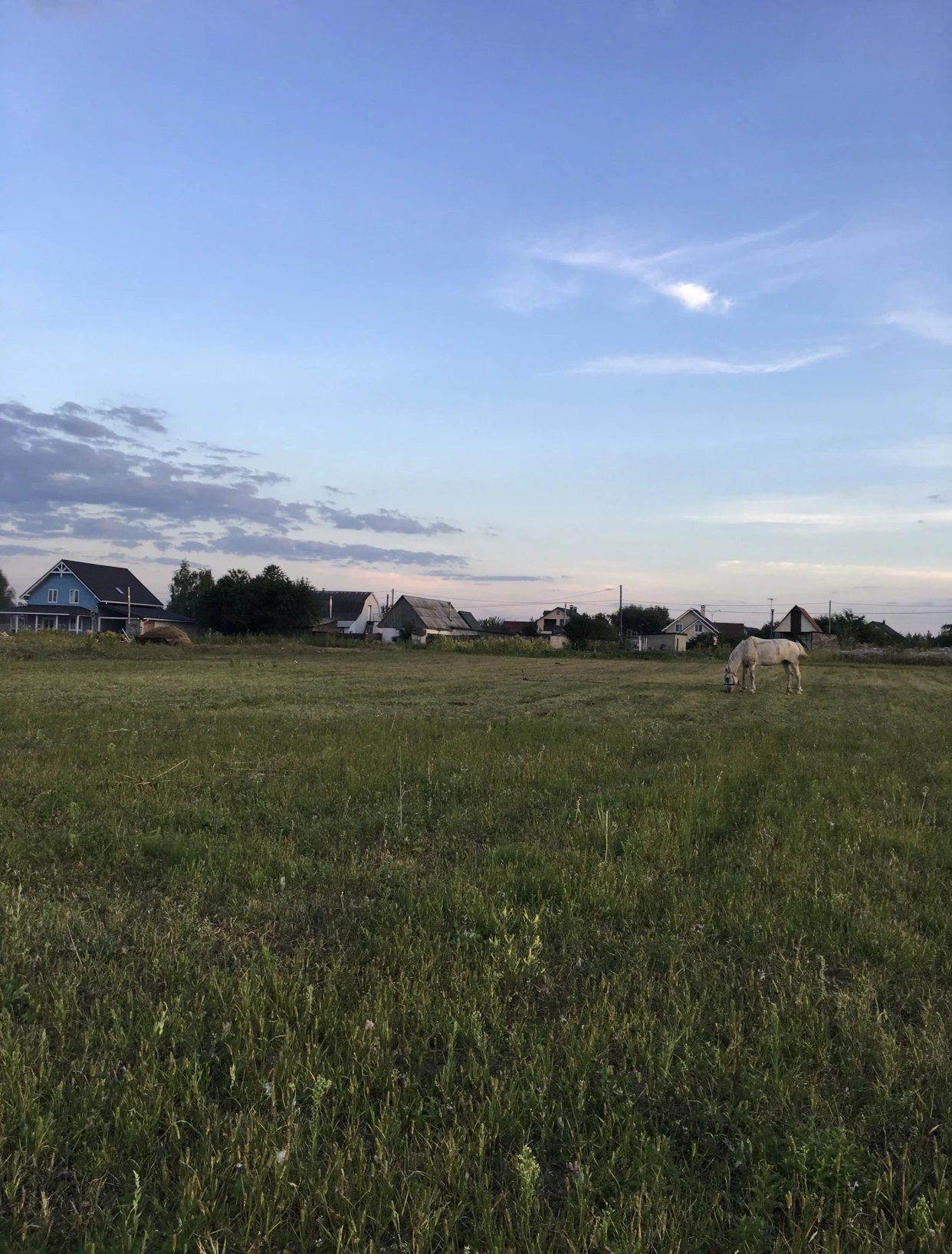 Land for sale for residential construction. Yablunivka. 