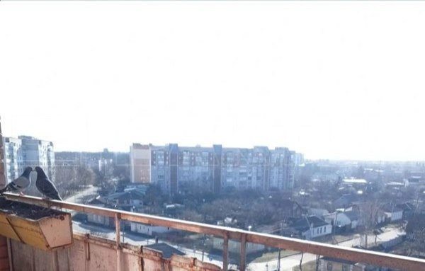 Samostrova vul. 11, Chernihiv