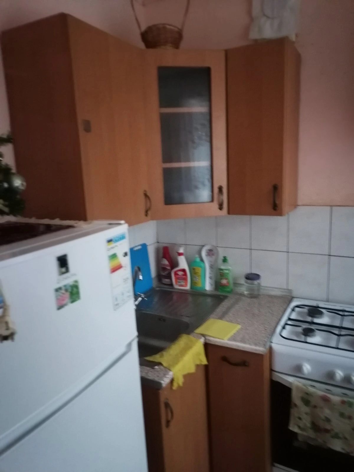 Apartment for rent 1 room, 311 m², 2nd fl./5 floors. Sadova 4, Kyiv. 