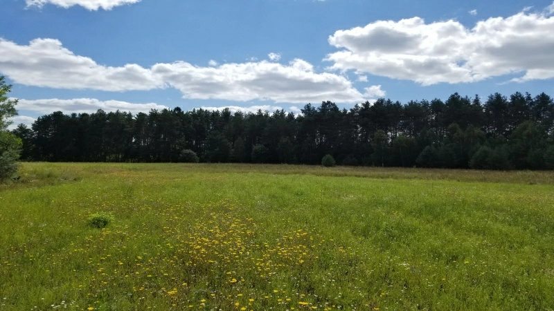 Agricultural land for sale for private use. 40 r.Peremohy, Kyiv Oblast. 