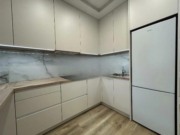 Здам квартиру 1 кімната, 43 m², 12 пов./20 поверхів. 25, Золотоустівська 25, Київ. 