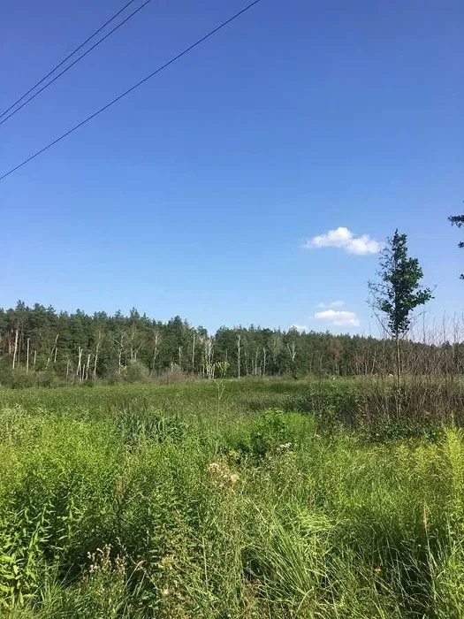 Land for sale for residential construction. Provulok Zabolotnyy, Kyiv. 