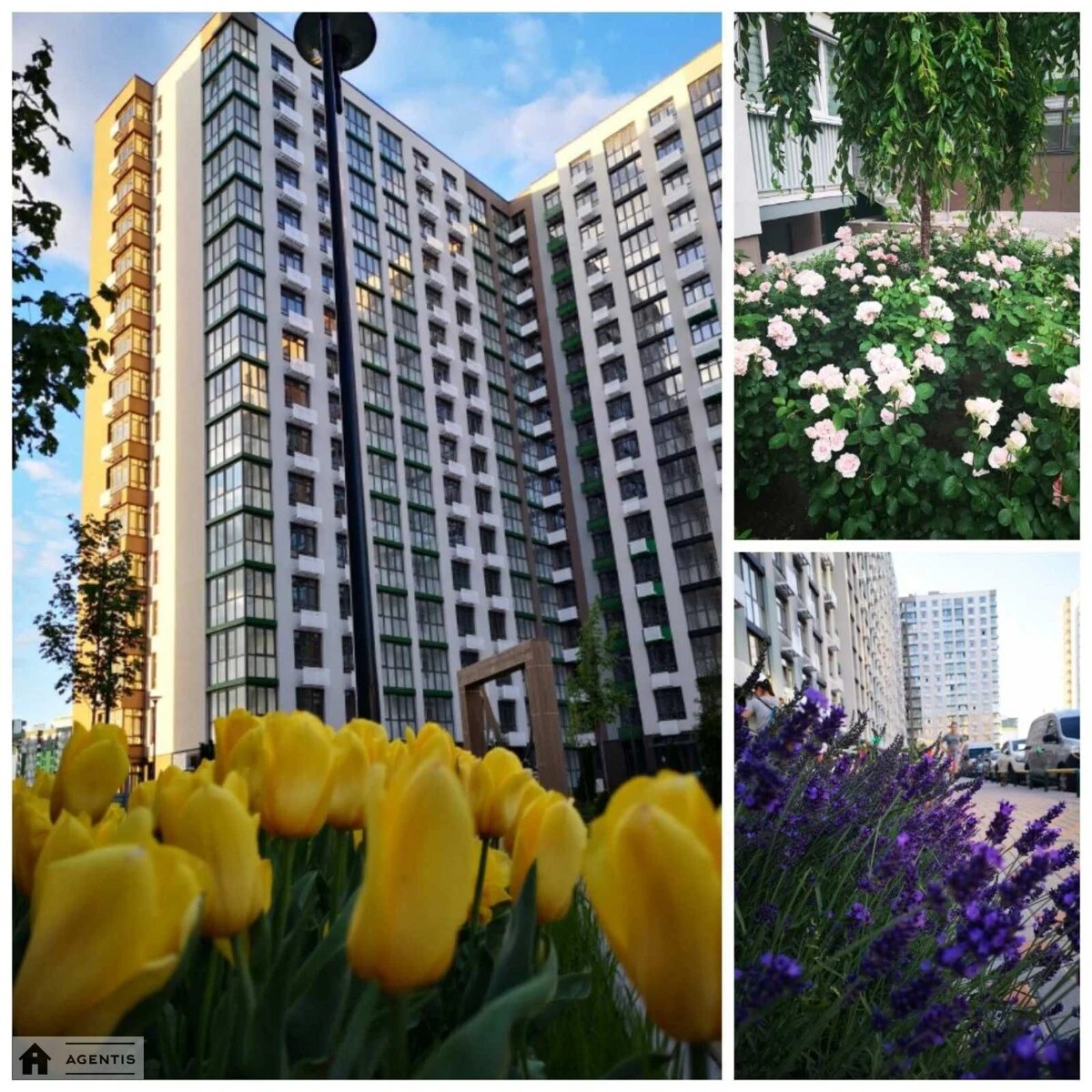 Apartment for rent 2 rooms, 66 m², 11th fl./16 floors. 60, Tyraspolska 60, Kyiv. 