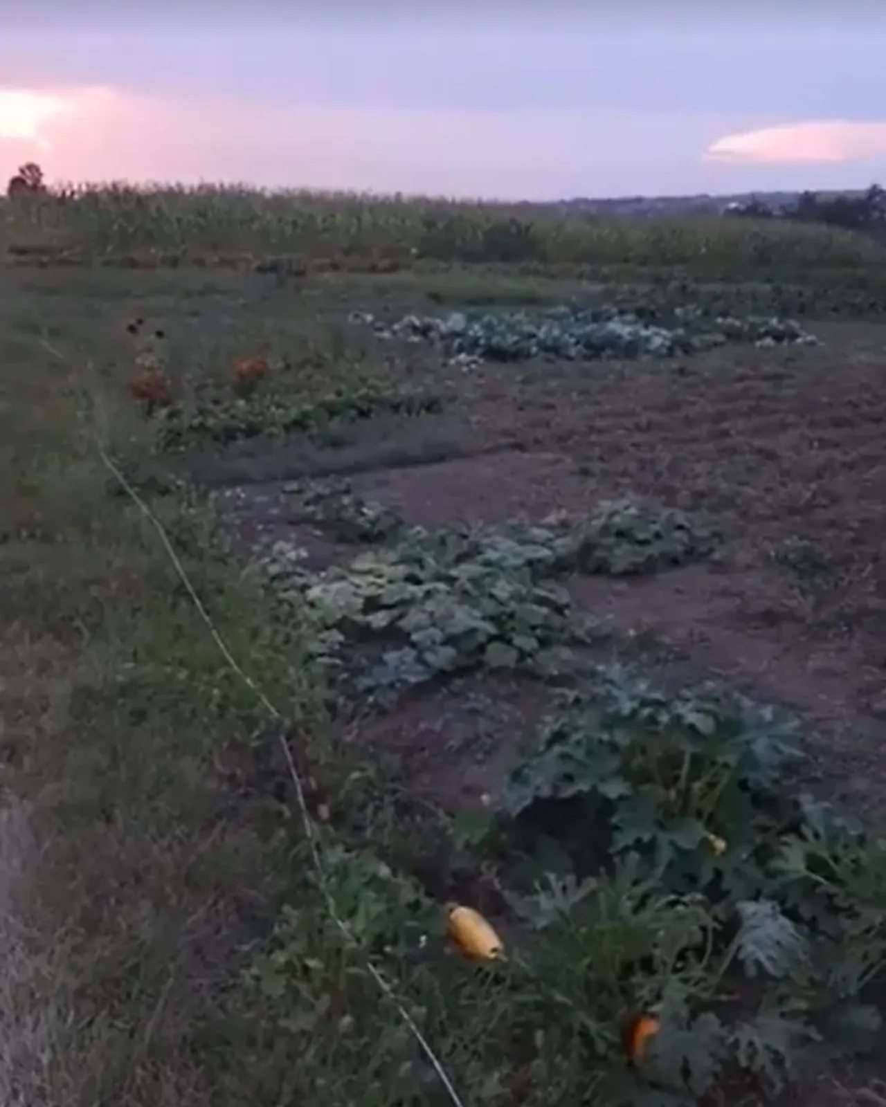 Продаж землі під житлову забудову. Гаї Ходорівські, Байковцы. 