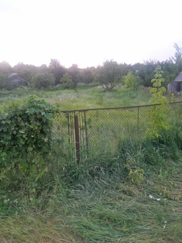 Land for sale for residential construction. Letnyaya, Babay. 