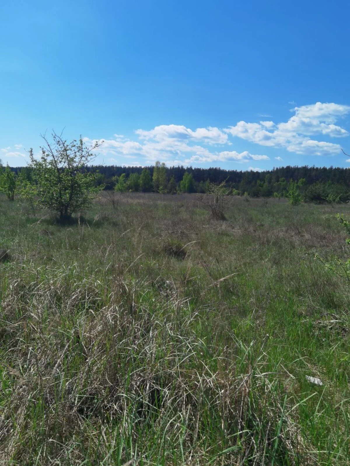 Land for sale for residential construction. 40-richchya Peremohy vul. Ivana Mazepy, Babyntsy. 