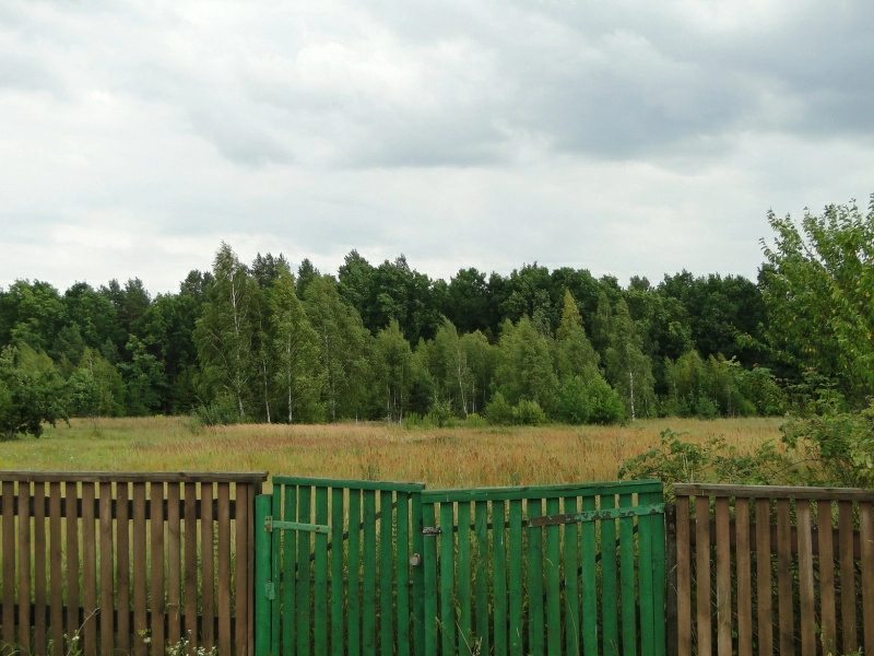 Land for sale for residential construction. Haharyna, Kyiv Oblast. 