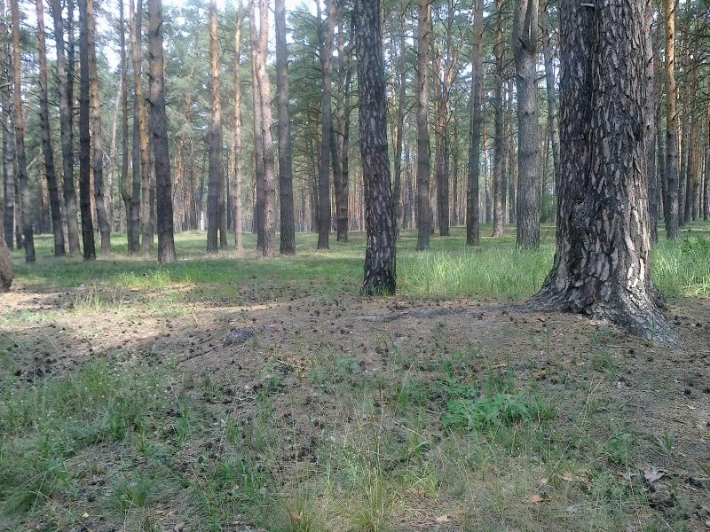 Land for sale for residential construction. Mykhaylovskoho, Bucha. 