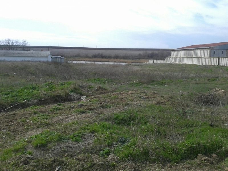 Land for sale for commercial use. Shevchenko, Velykyy Dalnyk. 