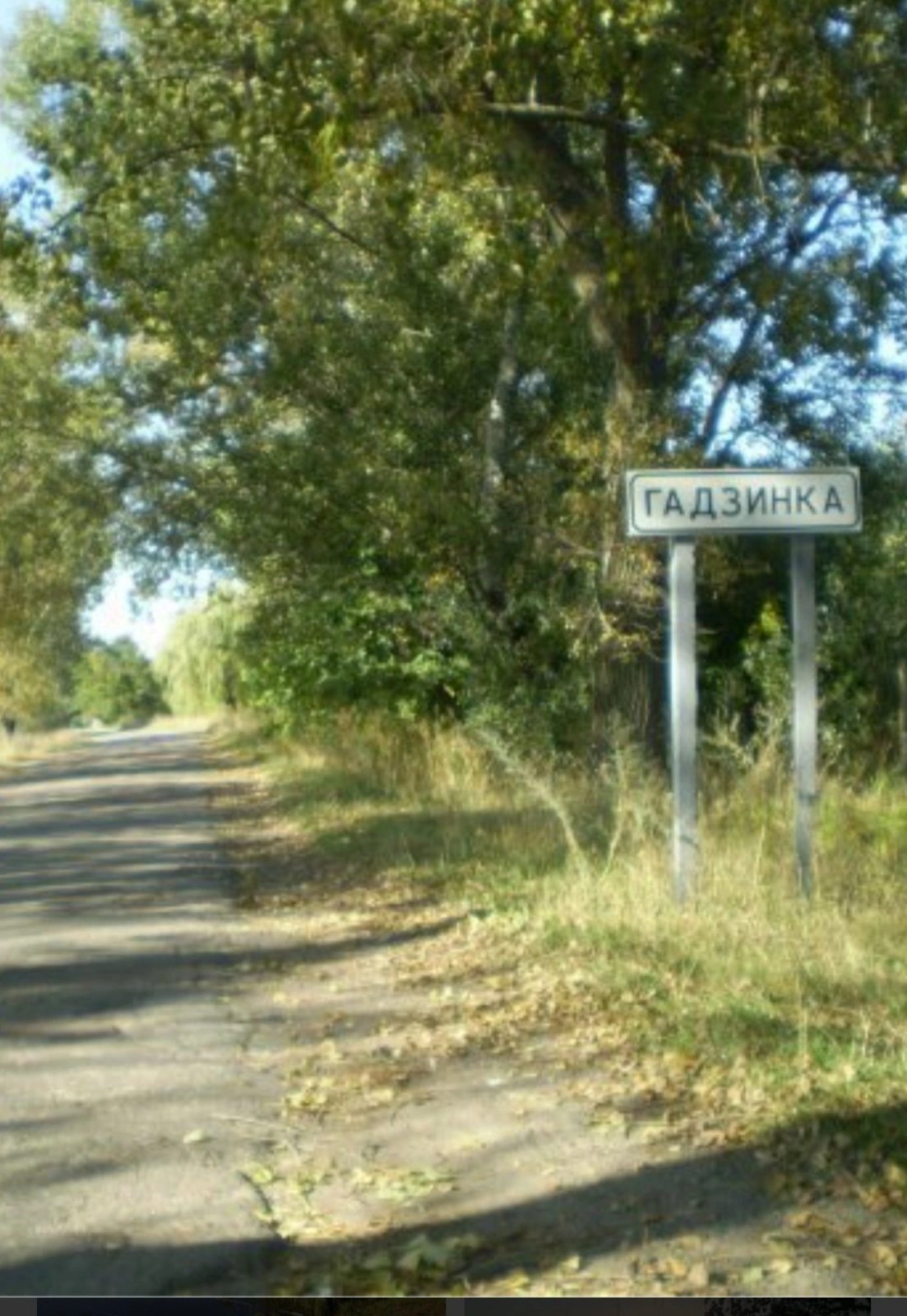Land for sale for residential construction. Zhytomyrskyy , S.Hadzynka. 