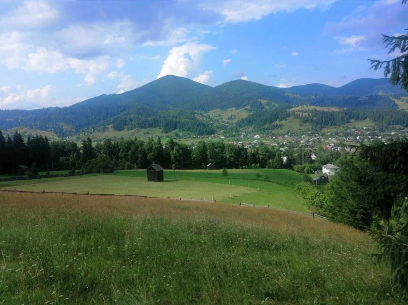 Agricultural land for sale for private use. Verkhovyna. 