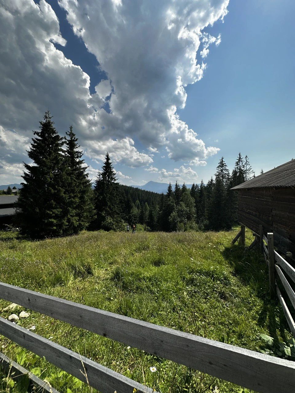 Земельна ділянка з панорамним видом в с. Яблуниця 0.26 га