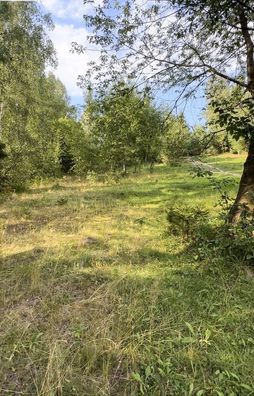 Land for sale for residential construction. Shkilna, Mykulychyn. 