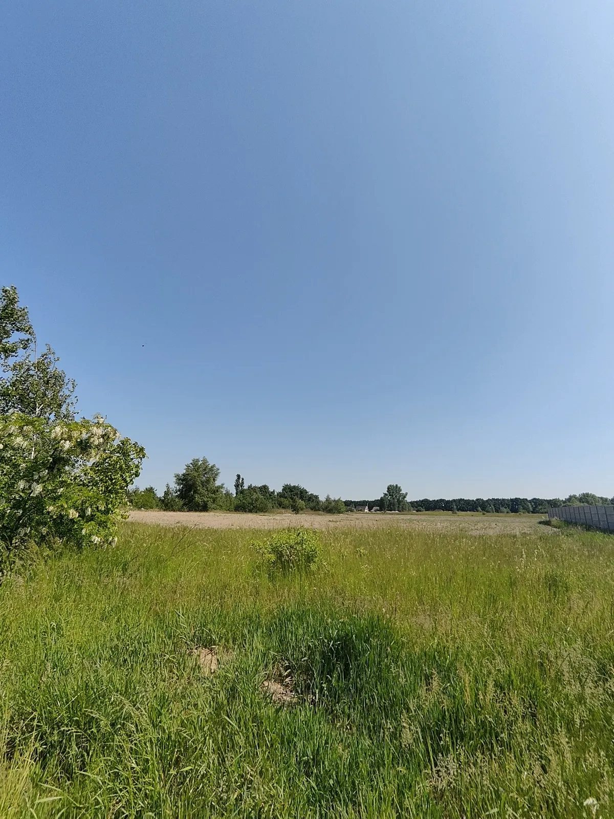 Land for sale for residential construction. Sadova , Hvozdiv. 