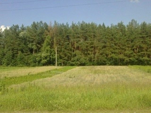 Land for sale for residential construction. Dovzhenka, Luka. 