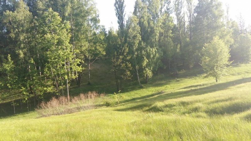 Land for sale for residential construction. Vasylkiv. 