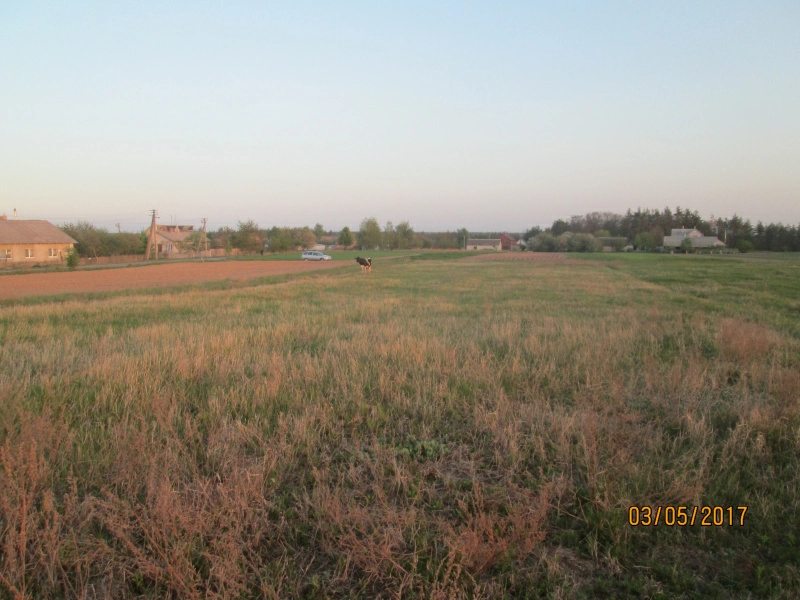 Land for sale for residential construction. Druzhby Narodiv, Makarov. 