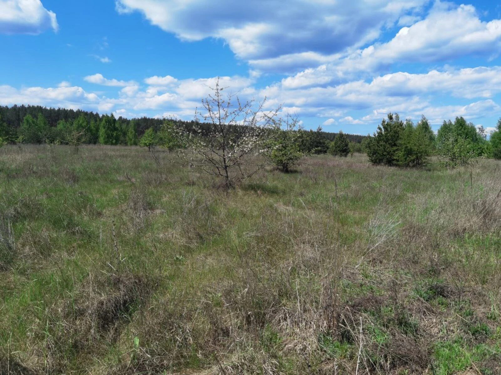 Продаж землі під житлову забудову. 2, Космічна вул., Блиставиця. 