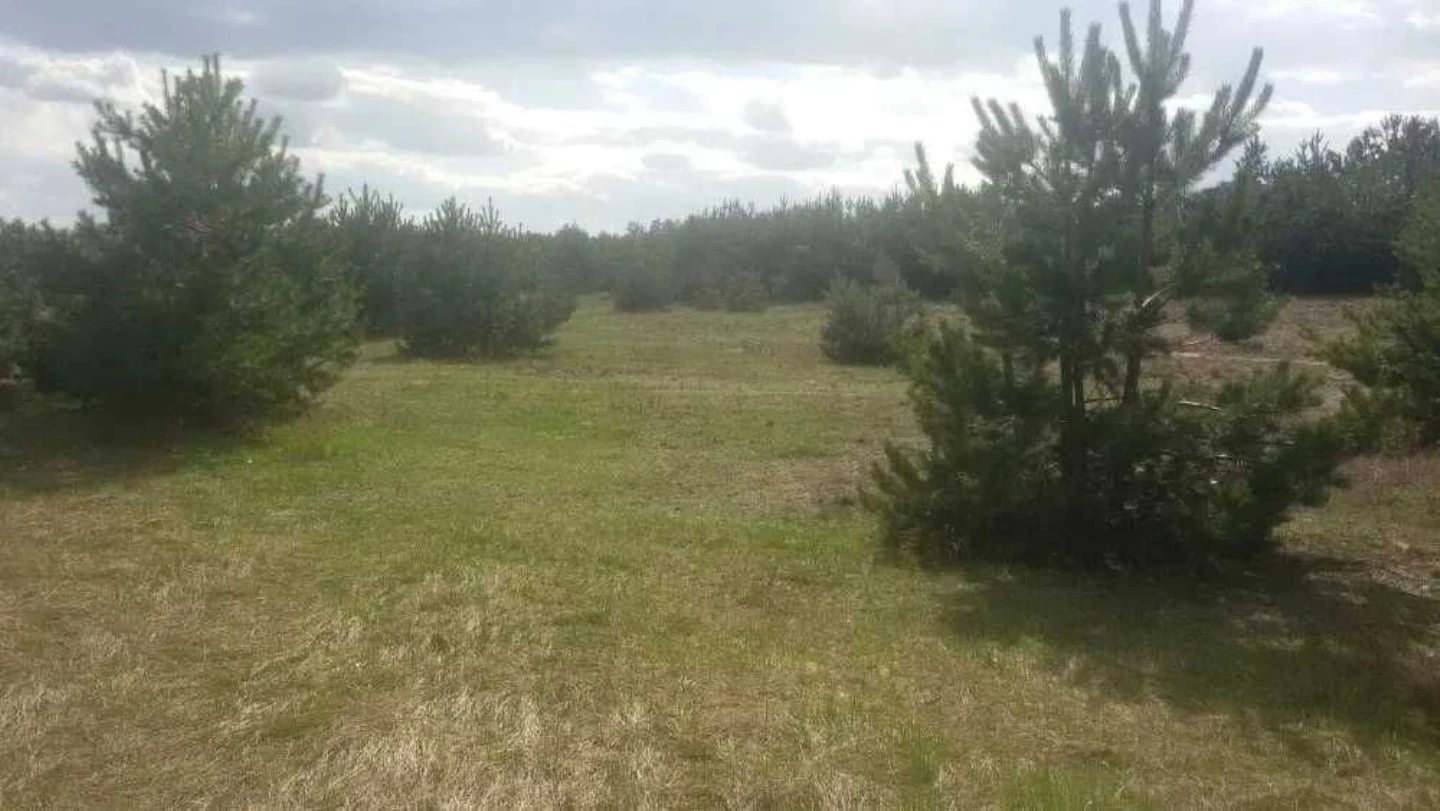 Land for sale for residential construction. Bohdanivka. 