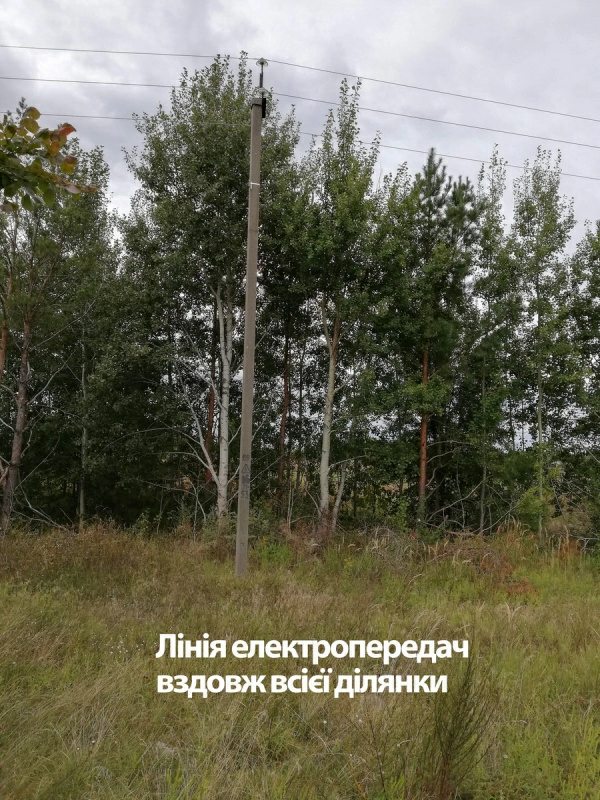 Agricultural land for sale. Pylypovych, Makarov. 