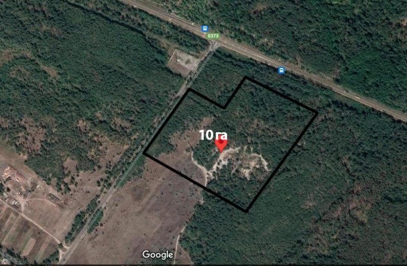 Agricultural land for sale. Pylypovych, Makarov. 