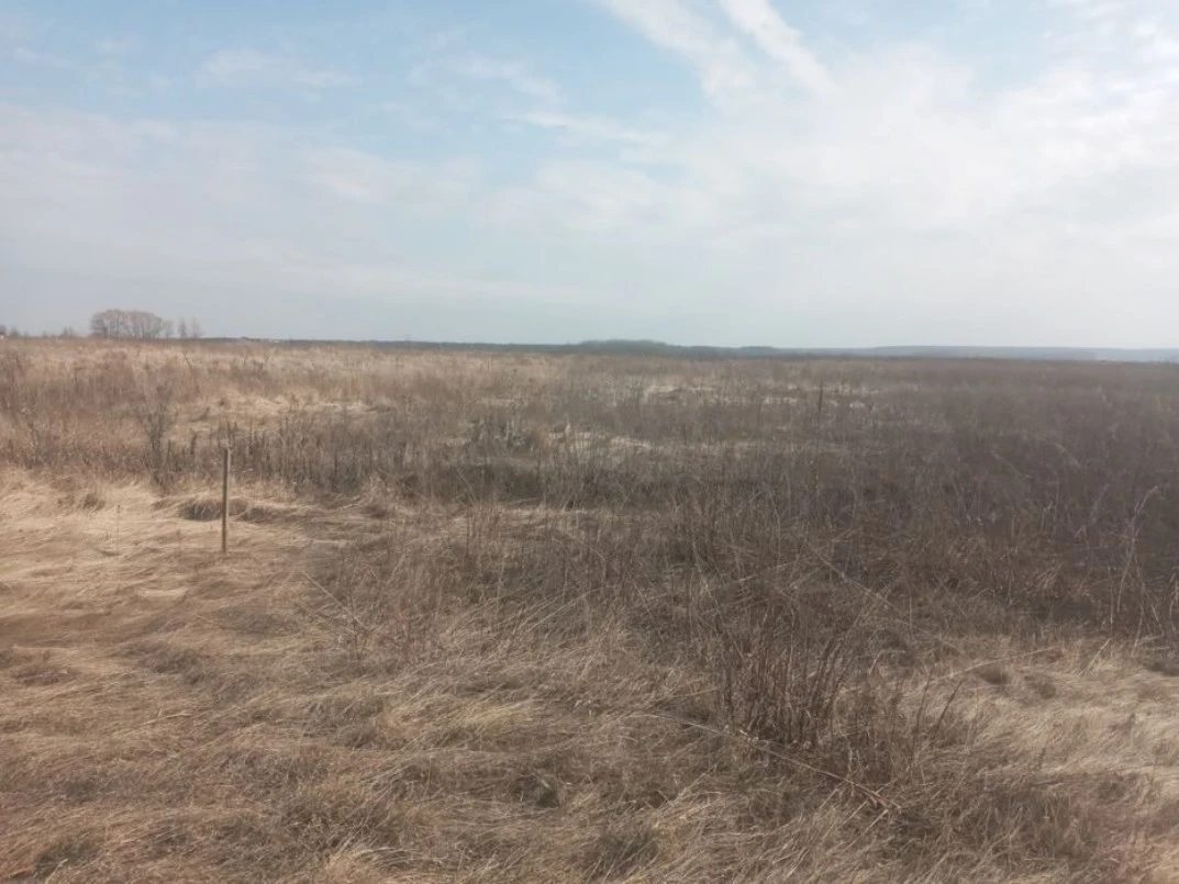 Land for sale for residential construction. Rozhny. 