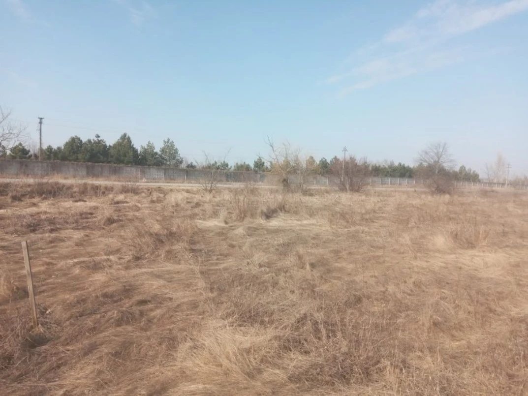 Land for sale for residential construction. Rozhny. 