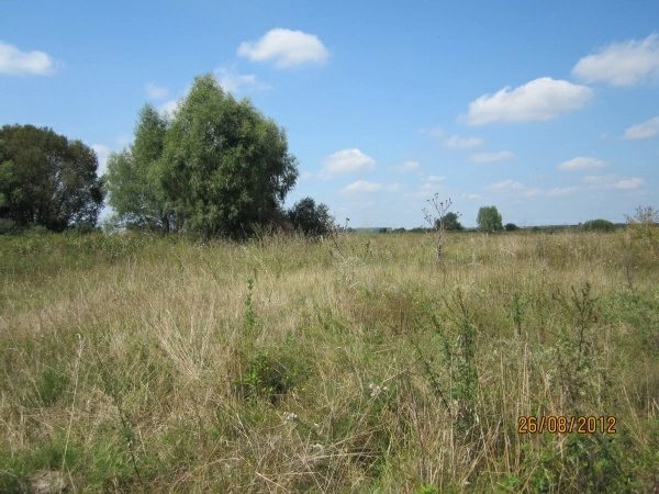 Land for sale. Hoholev, Brovary. 