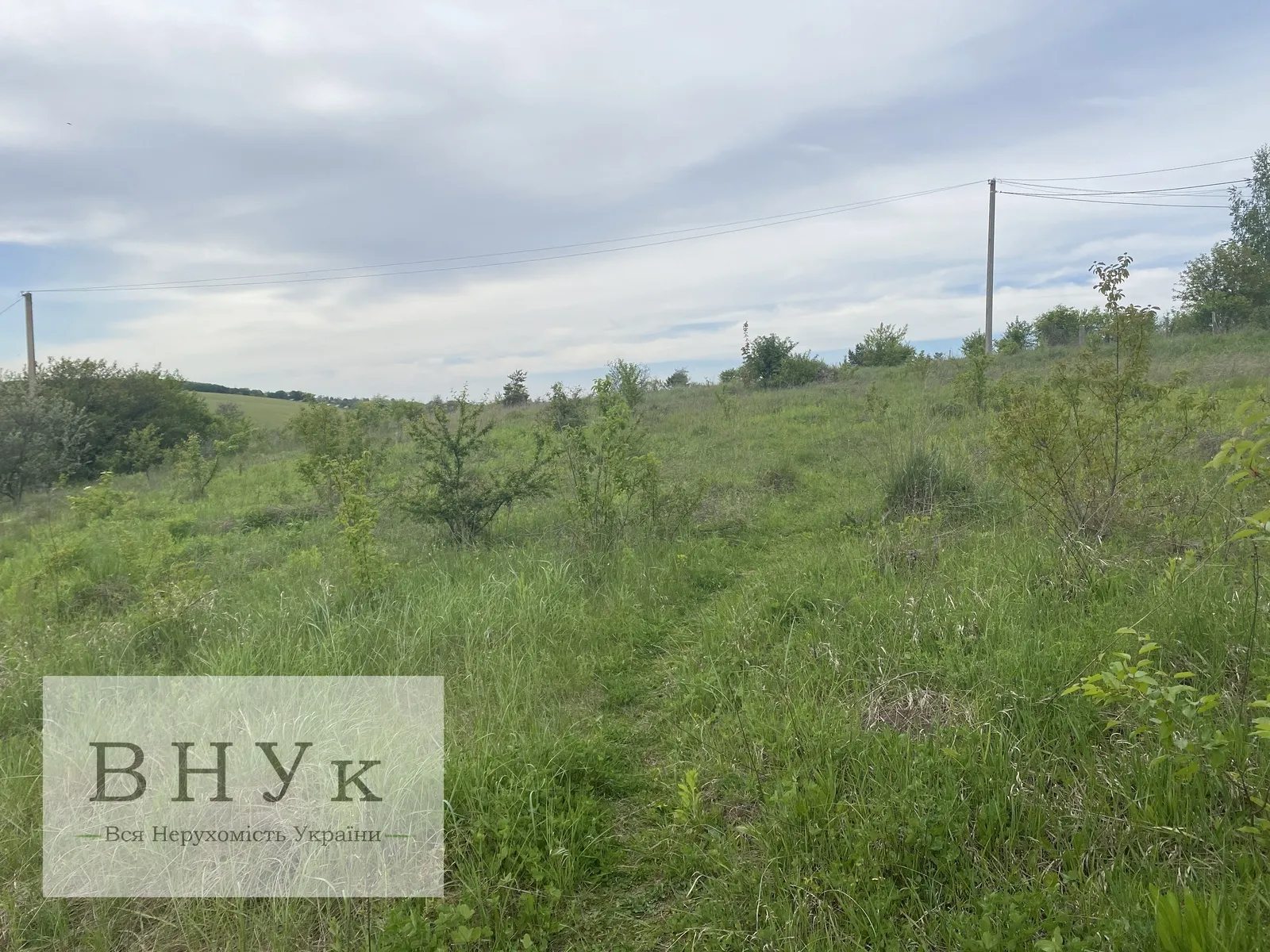 Land for sale for residential construction. Dovzhanka. 