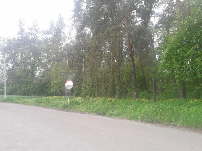 Land for sale for residential construction. Lesy Ukraynky, Petrovskoe. 