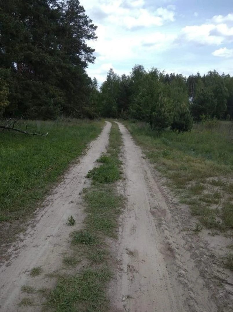 Land for sale for commercial use. Sosnivka. 