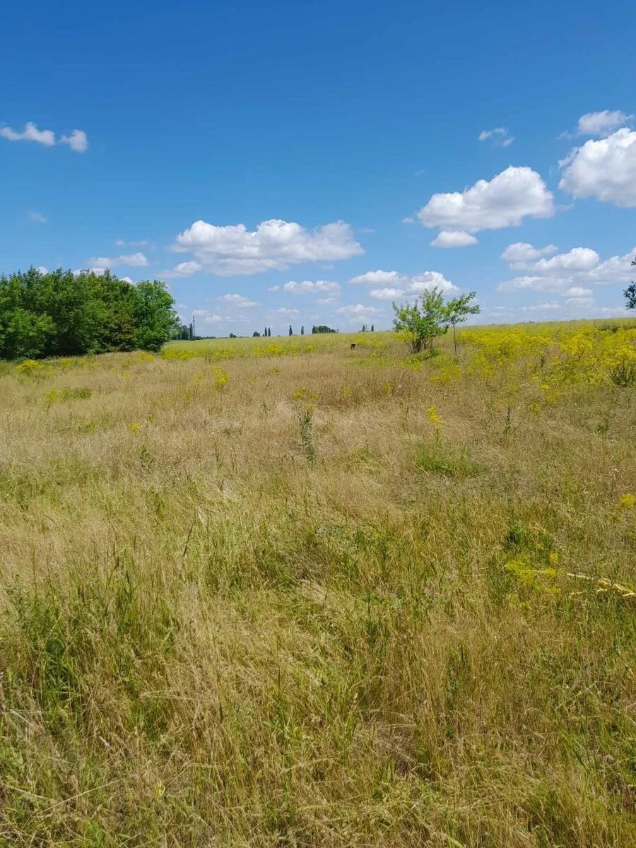 Продаж землі під житлову забудову. АН Купи Дім , Кропивницький. 