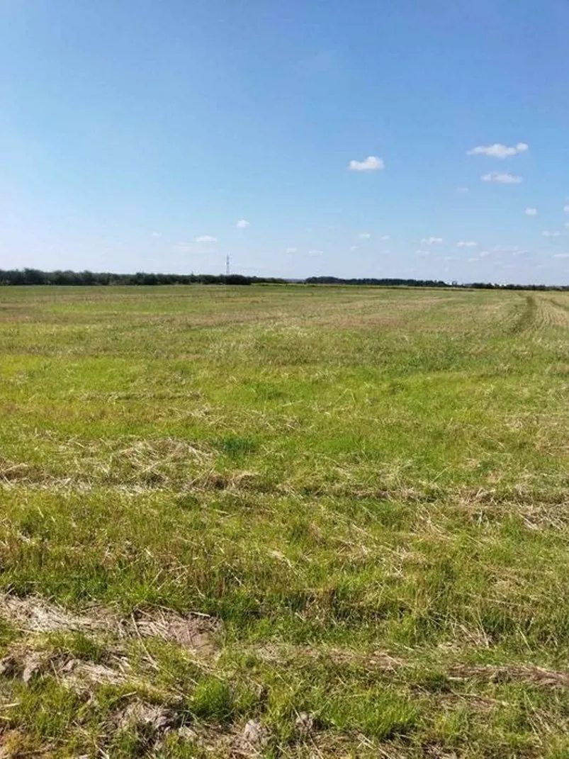 Agricultural land for sale for private use. Tarasivka. 
