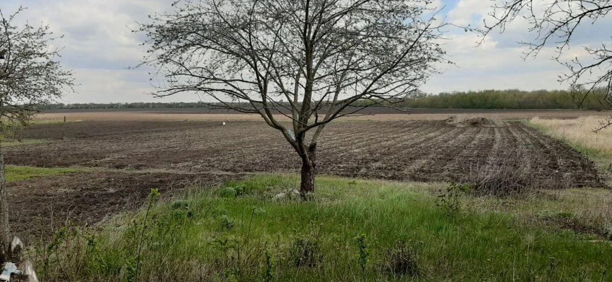 Продаж землі під житлову забудову. АН Купи Дім , Кропивницький. 